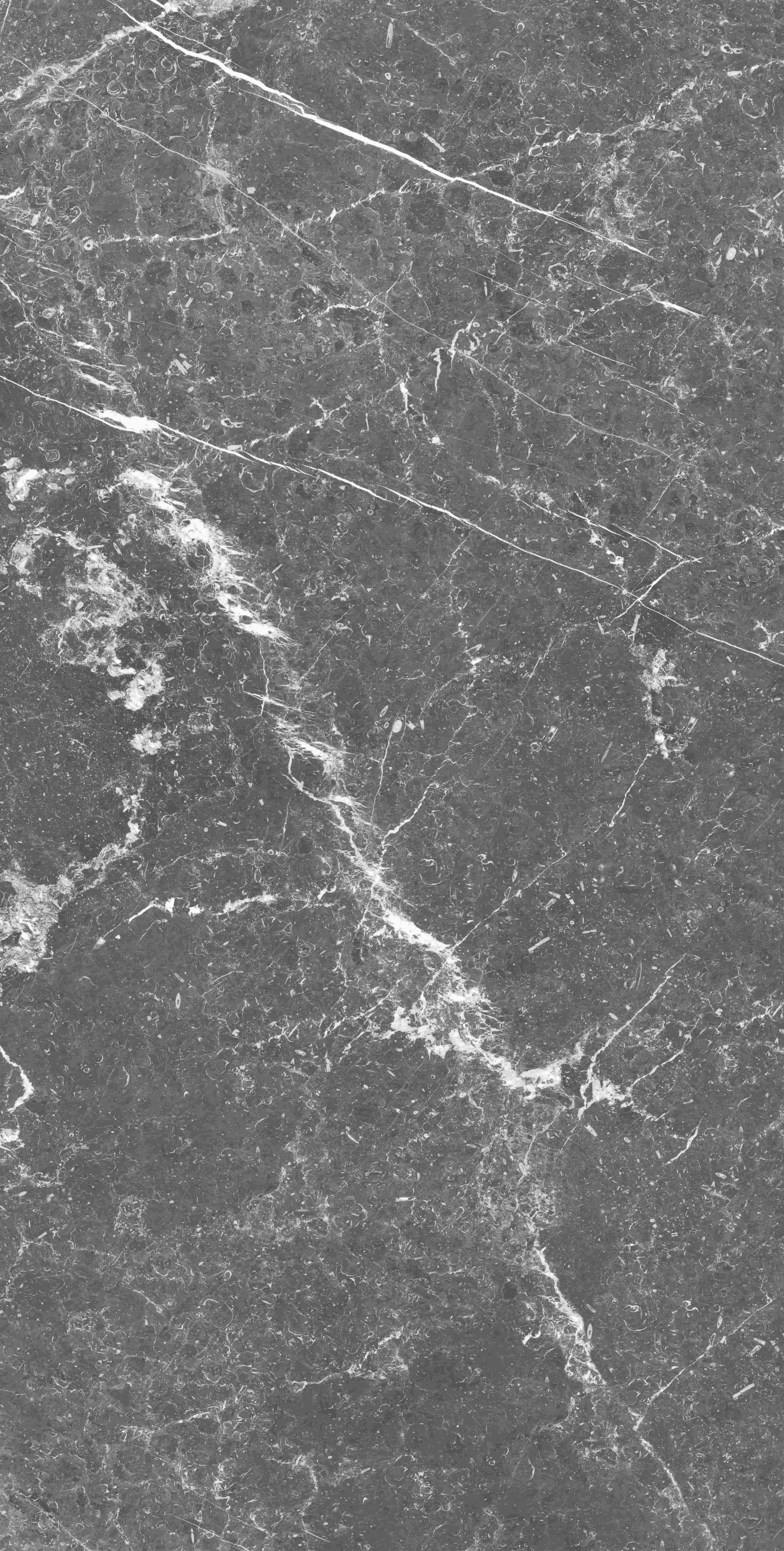 魯?shù)聽柹罨?  class=